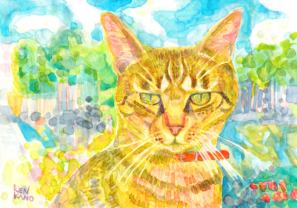 キジネコ