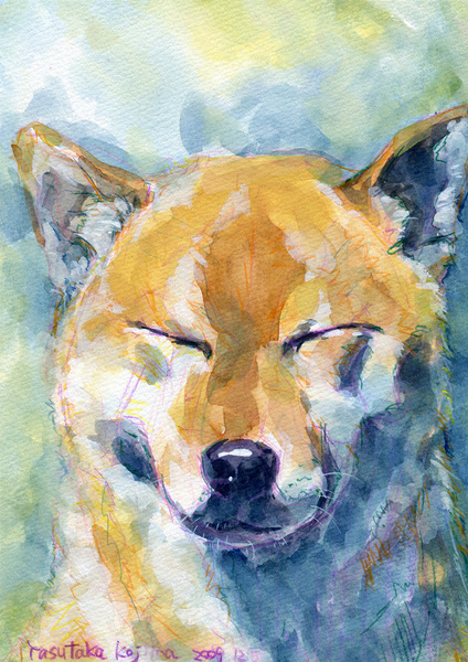 柴犬」 by 小島 康孝｜Artmeter｜暮らしを彩るアートが、きっと