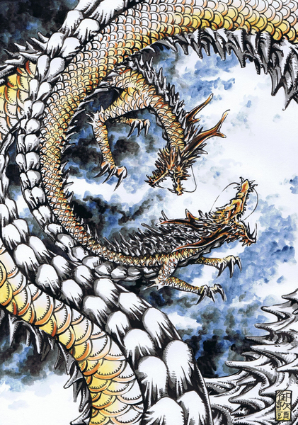 双龍