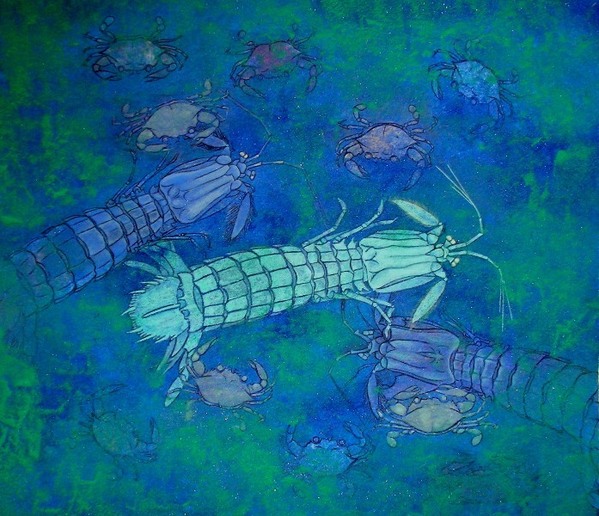 シャコ と かに