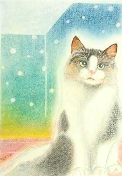 cat 01