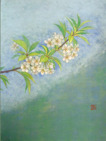 山桜