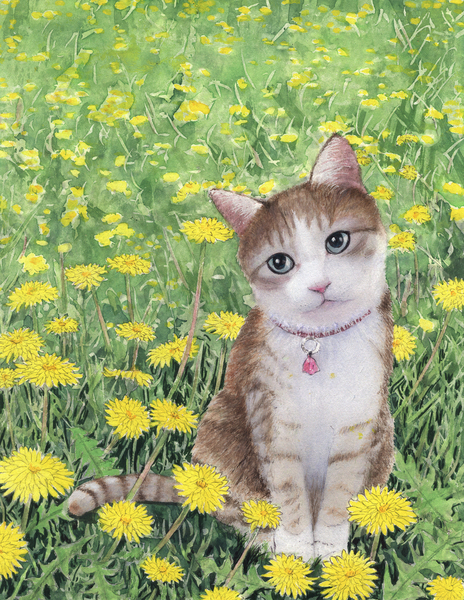 猫とたんぽぽ