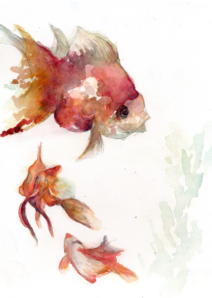 金魚 1」 by zumi.｜Artmeter｜暮らしを彩るアートが、きっと
