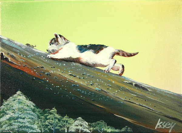 仔猫