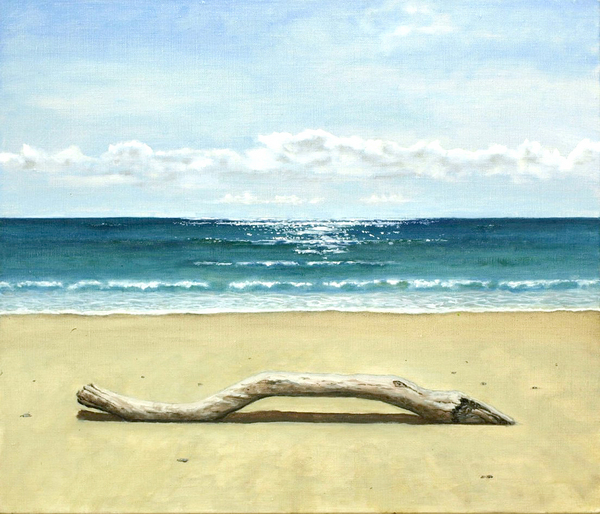 流木のある浜辺
