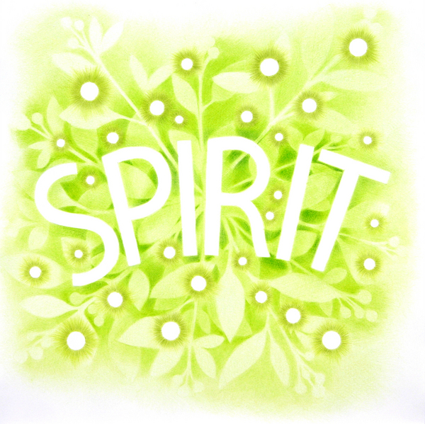 SPIRIT