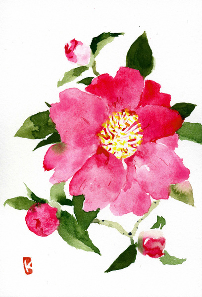 山茶花(さざんか)
