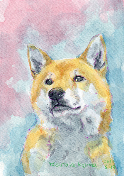柴犬