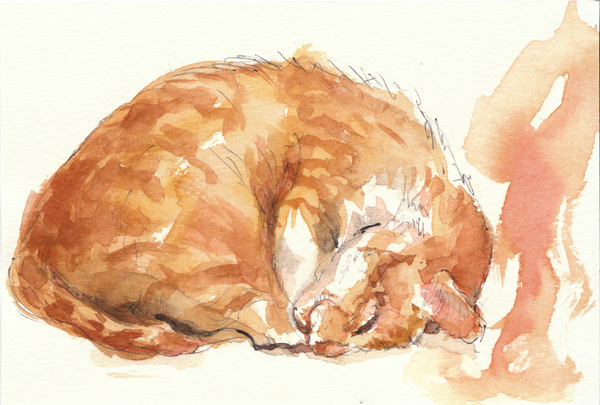 cat 008