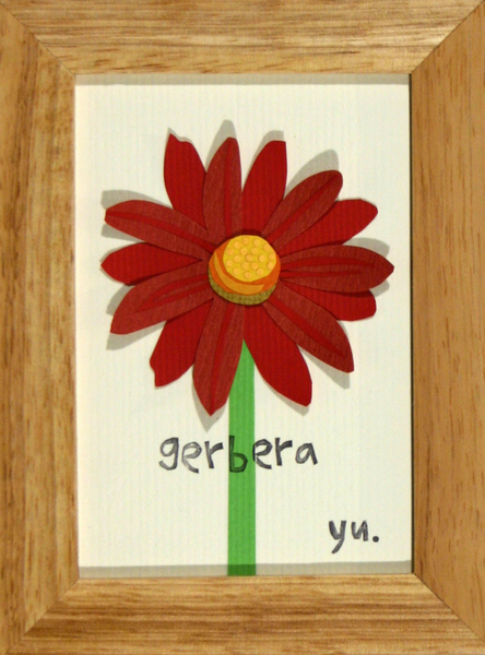 gerbera