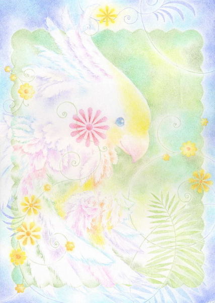 オカメインコ・花と鳥