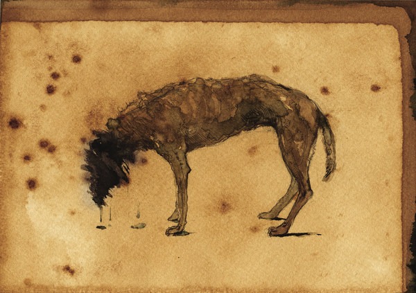 泣く犬