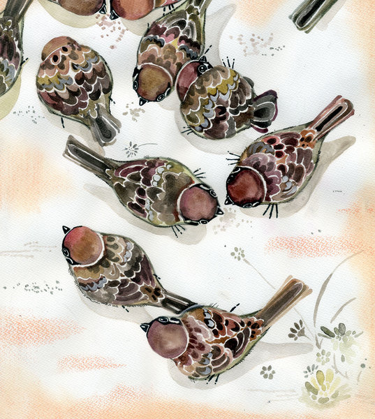 餌ついばむ雀
