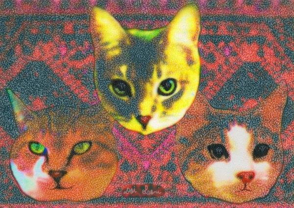 のらねこ123