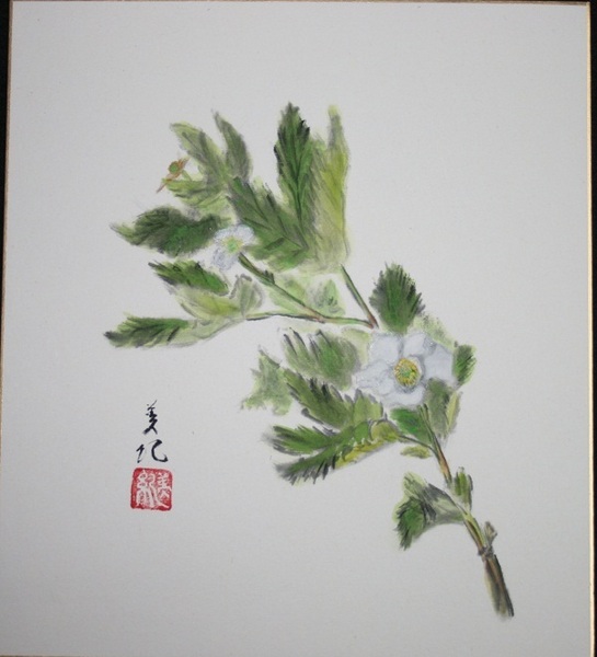木苺の