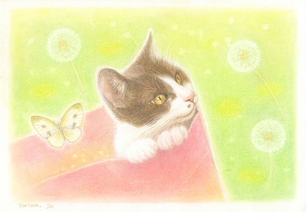 猫とタンポポ(1/10)