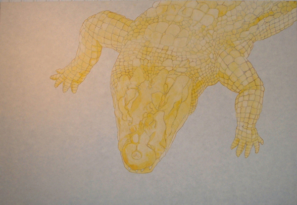 動物画 黄色ワニ 絢美 Art Meter