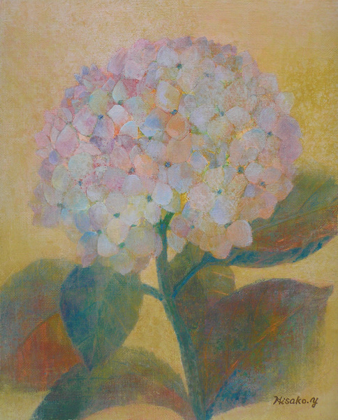 紫陽花