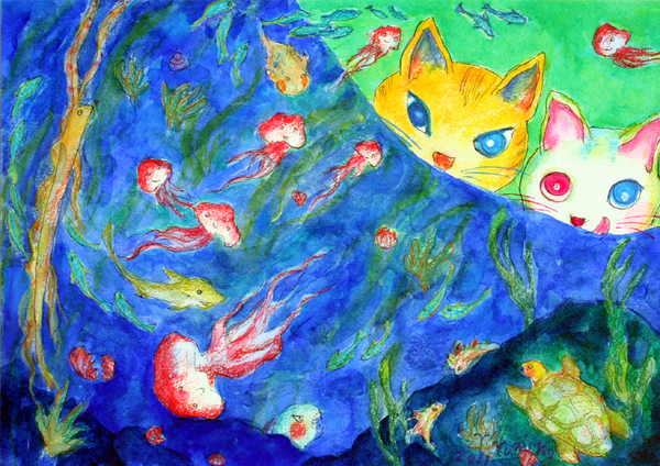 海水槽をのぞいた猫