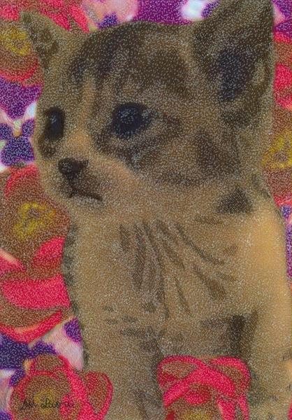 僕はアビシニアン