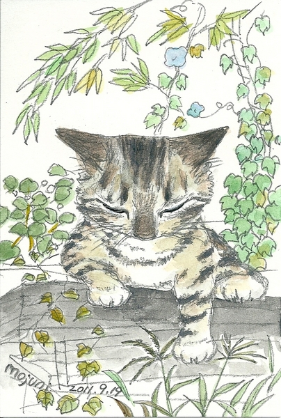 晩夏