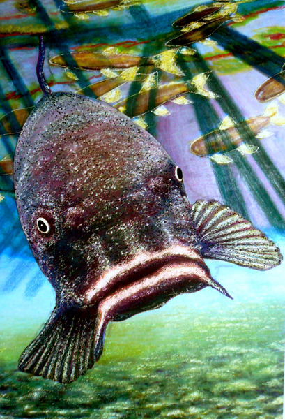 水彩画 金魚 絵画 makochin 通販 18135622｜Creema(クリーマ)