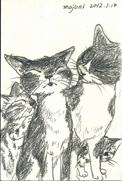 日だまり