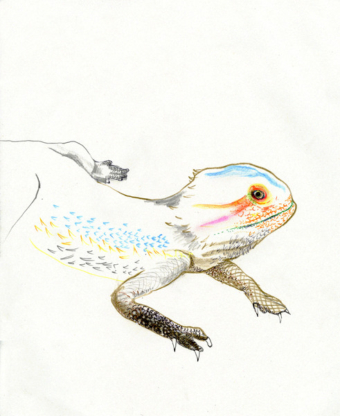 イグアナ」 by 浅野 実季｜アート・絵画の販売(通販)サイト Artmeter - 国内最大級のインディーズアート専門マーケットプレイス