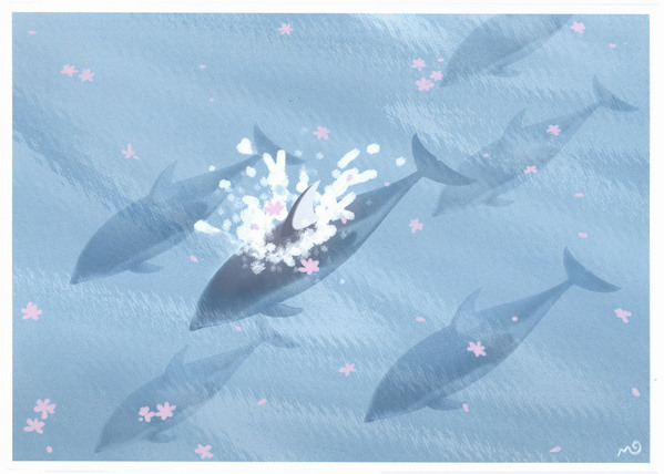 遊泳(カマイルカ)