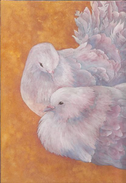 鳩