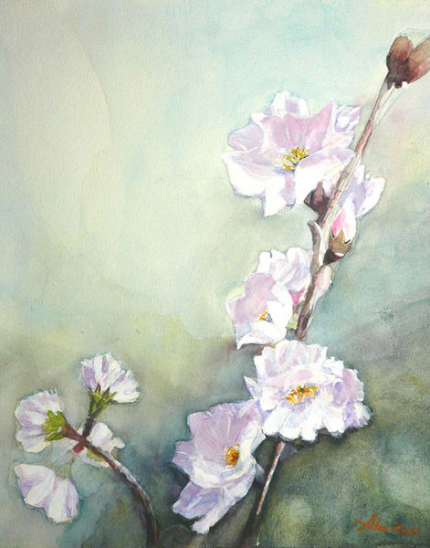 Relax画 青山花市場 Sakura 1 常盤アキト Art Meter