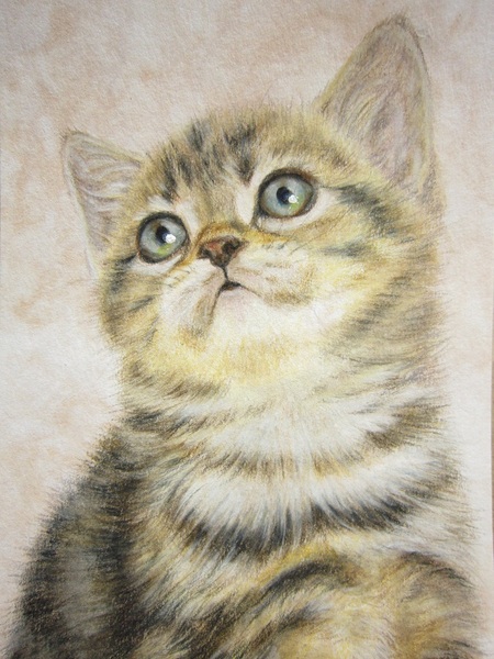 子猫ー2」 by TAKESHI｜Artmeter｜暮らしを彩るアートが、きっと