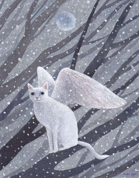 雪猫