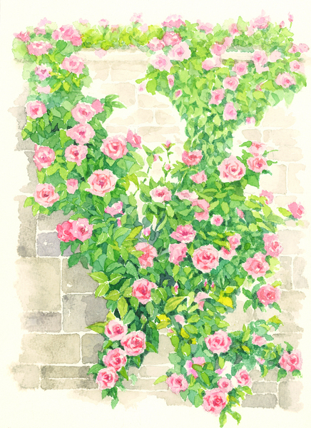 つるバラ