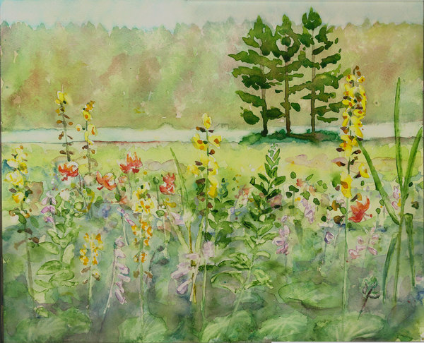 湿原の5月　パステル画 湿原の5月 パステル画