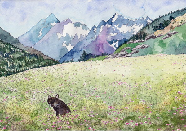 草原の猫」 by 長 たまき｜Artmeter｜暮らしを彩るアートが