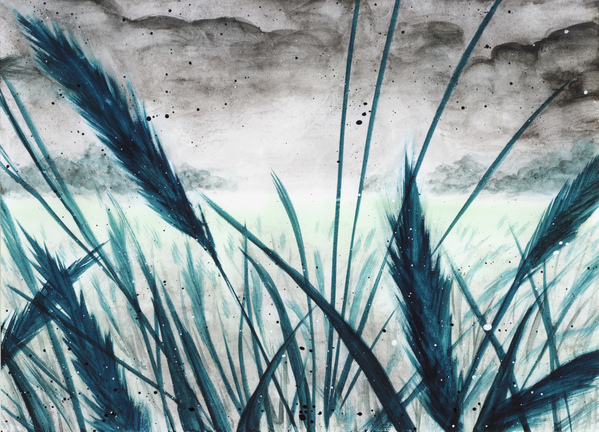 green wheat