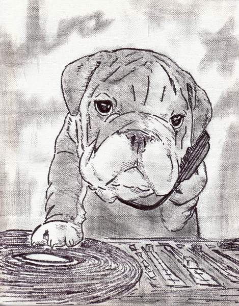 BULLDOG DJ