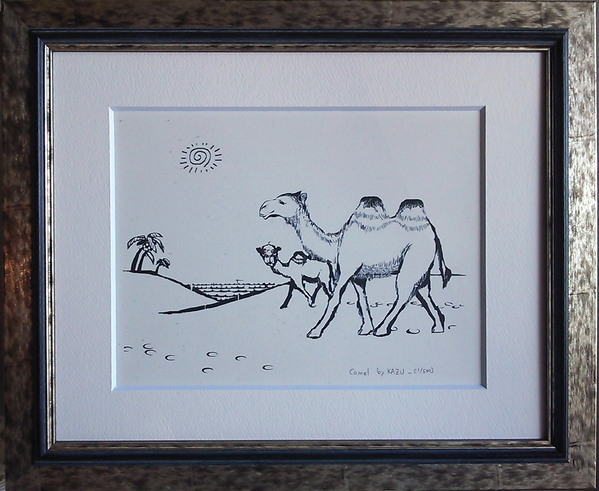 Camel(1/500)