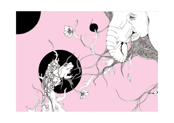 植物画 噂話に花が咲く Akanex Art Meter 植物画 噂話に花が咲く Akanex Art Meter