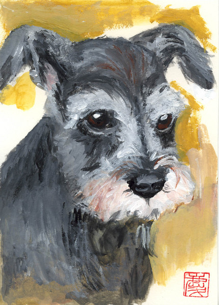イラスト 手描き犬の絵画 クレヨン画 区切り ミニチュアシュナウザー