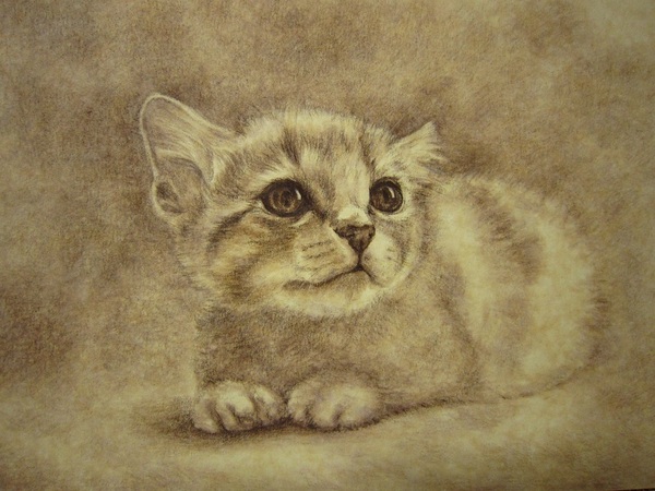 A Precious Friend