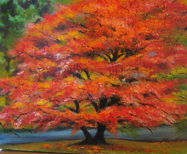 MOMIJI