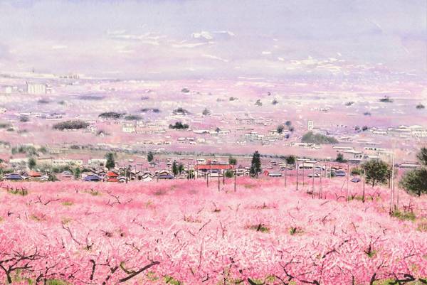 山梨の桃開花風景