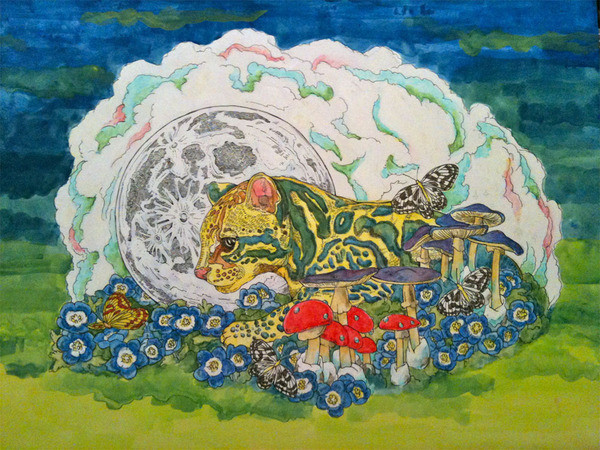 眩い夜