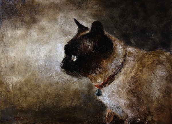 猫の横顔