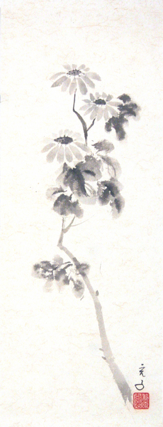 小菊