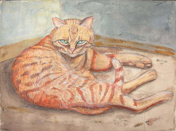 ねこ・3