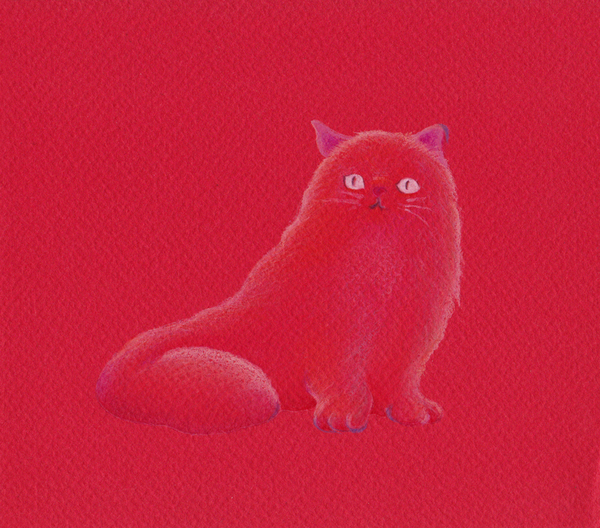 赤色猫